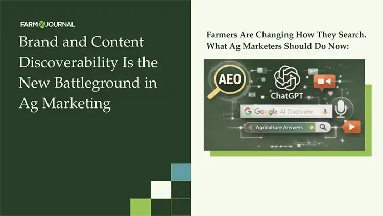 Brand Content Discoverability