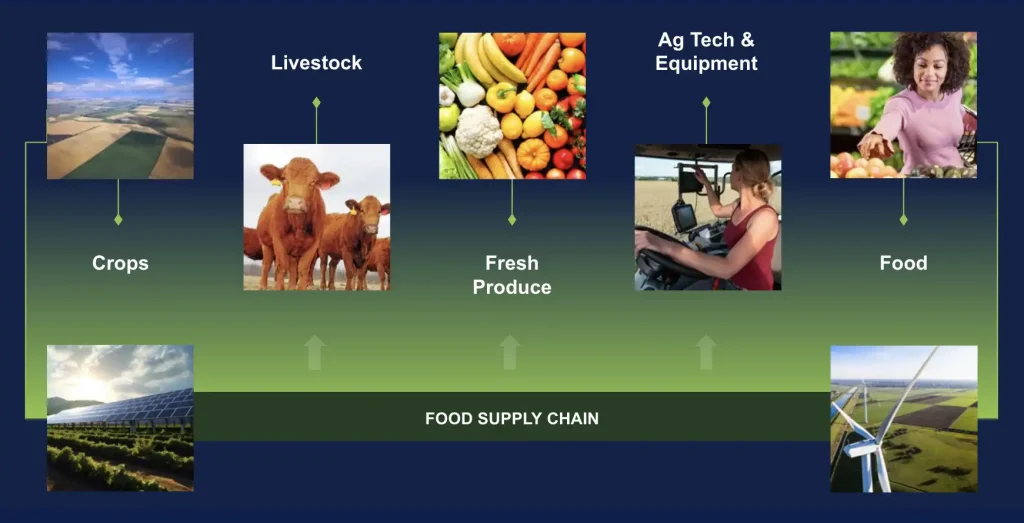 Markets we serve
