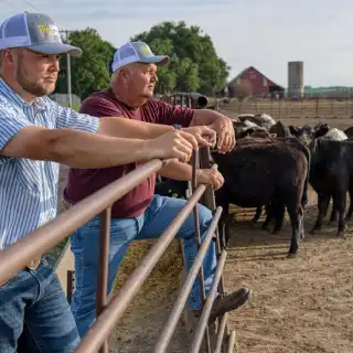 Livestock Farmers